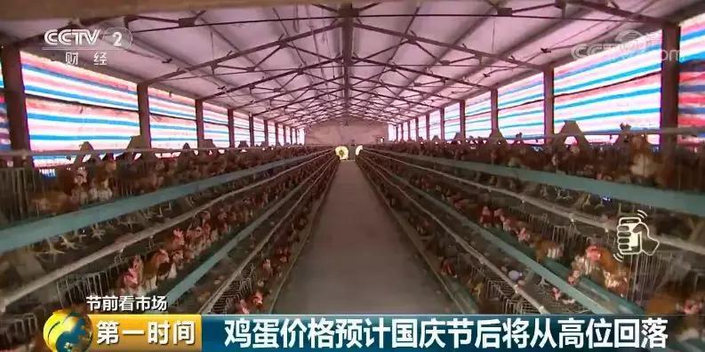 马上，“双节”要来了！你常买的蛋、菜、肉，价格有啥变化？赶紧看看