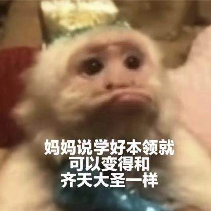 一夜之间“吗喽”占领了年轻人的生活圈 来自何方？