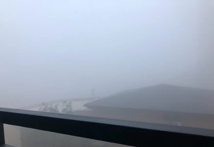 雨雪雾齐聚山东 全省200多个高速收费站封闭或限行