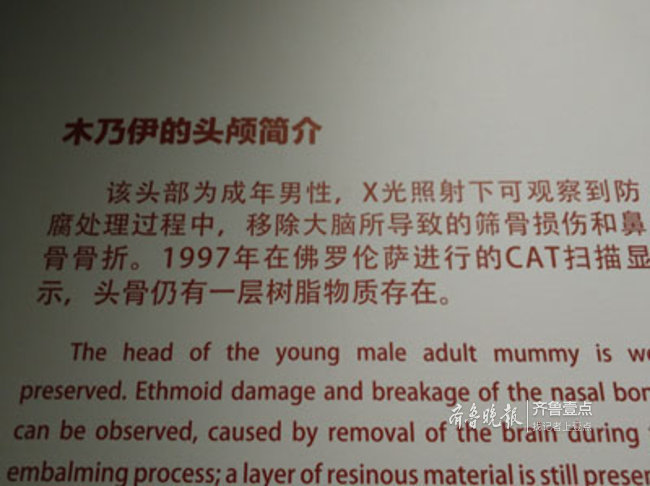 今天省博排起史上最长的队！只为一观埃及木乃伊真容