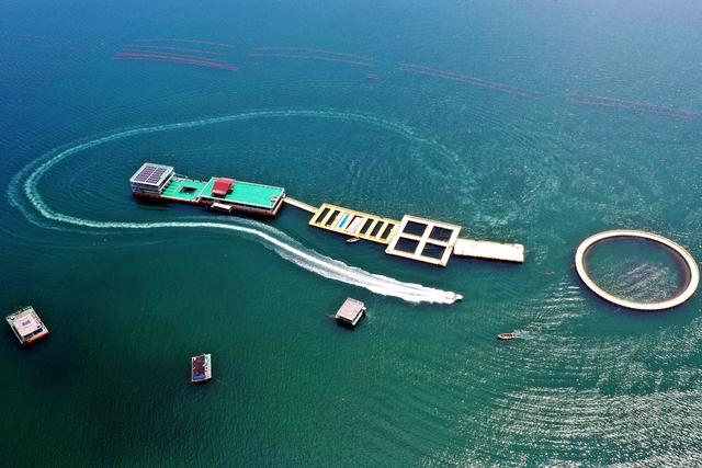 山东超三成“最高奖”花落这一领域，传递什么信号？