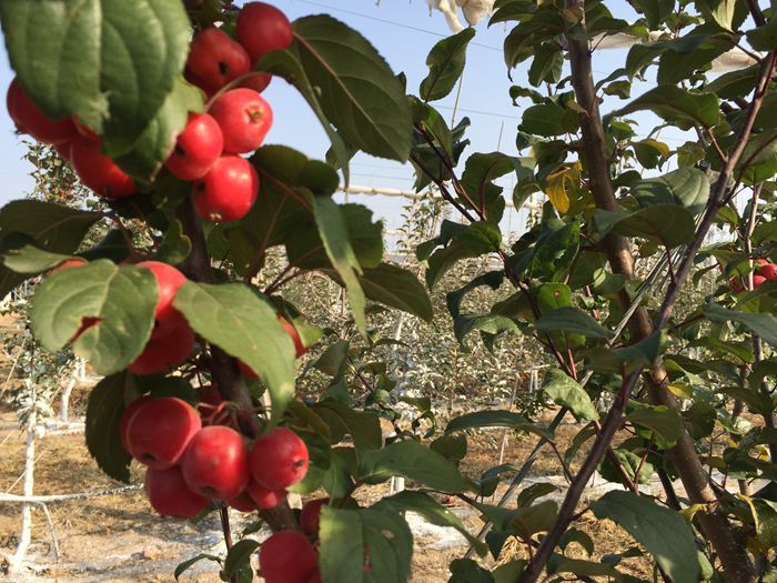 打造“高颜值”水生态 北京延庆释放节水护水新活力