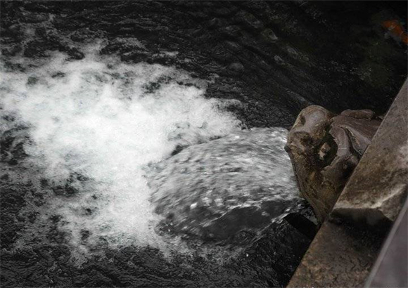 一夜暴涨15厘米！大雨过后济南黑虎泉喷涌更迅猛