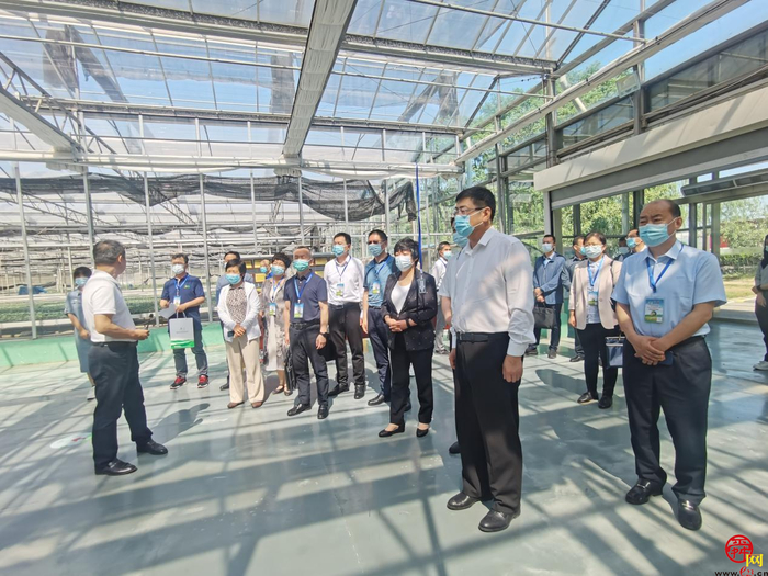 市政协“商量”为“助推济南打造北方种业之都”建言献策