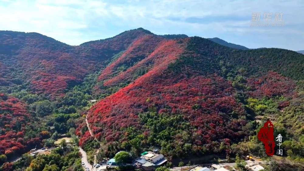 秋意浓！来看看新华社镜头下的秋日济南