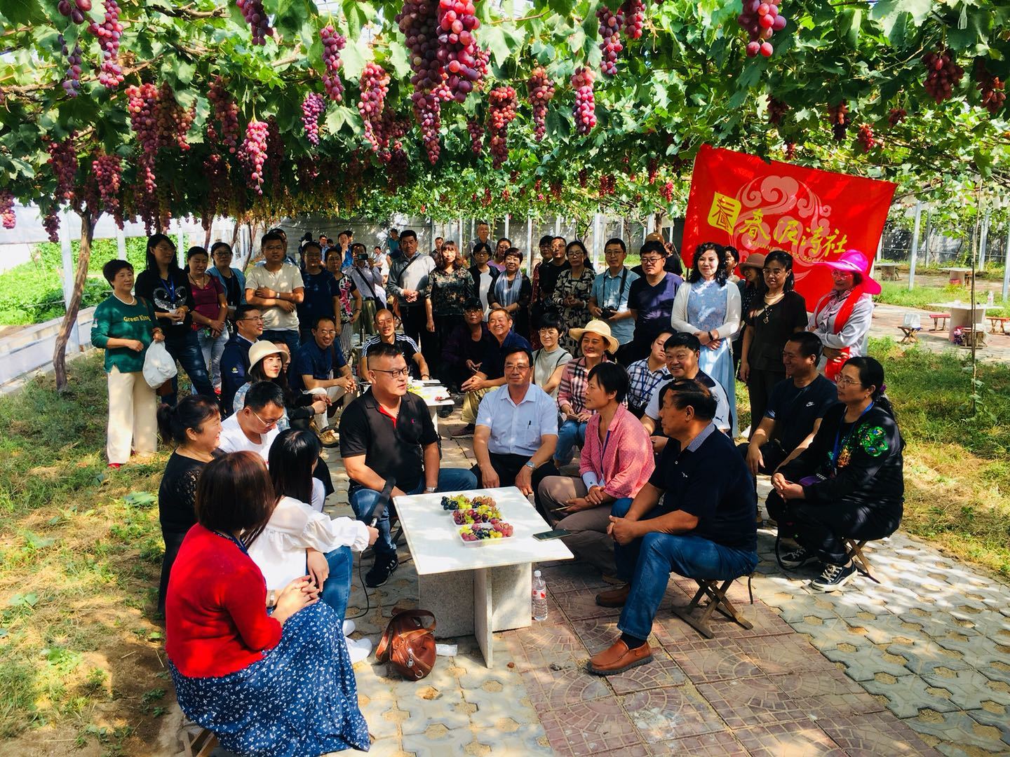 硕果累累！第34届中国大泽山葡萄节今日开幕