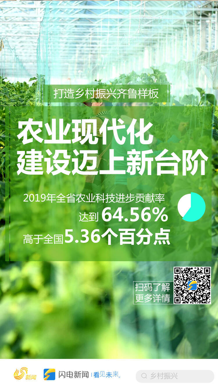 彰显农业大省担当！六张创意海报看乡村振兴齐鲁答卷