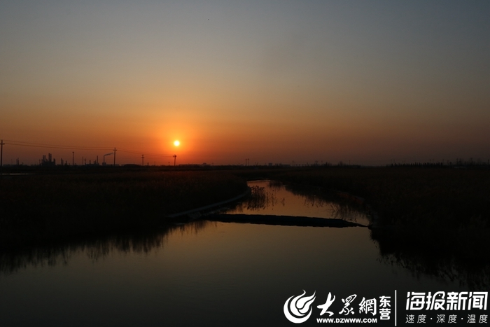 这就是东营丨东营河口面条沟湿地：净化水质还创造如画美景