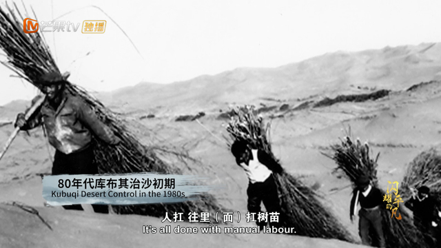 从“死亡之海”到“绿色长城” 《闪耀的平凡》走近库布其奇迹