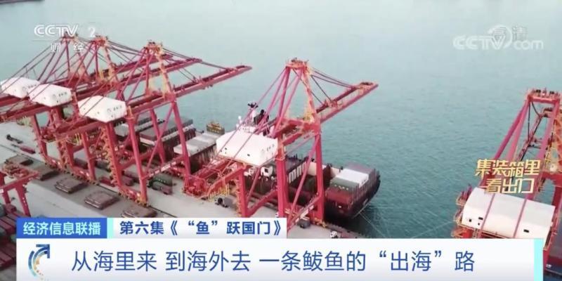 来水产品出口大省山东，看一条鲅鱼的出海之旅