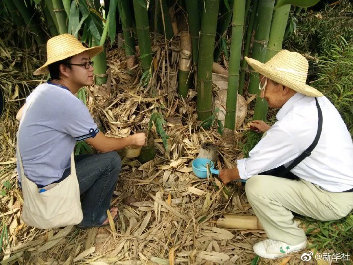 致敬！为了防治疟疾86岁老人研究蚊子70年