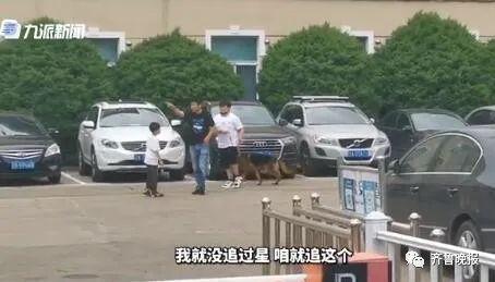 “小黑”年龄大、“克鲁斯”胆小…山东一地处置28头退役警犬