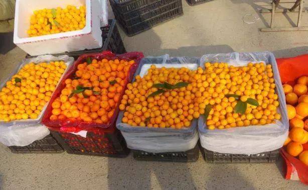 【网络述年】二十七，赶大集！济南这里的年味，怎一个浓字了得！