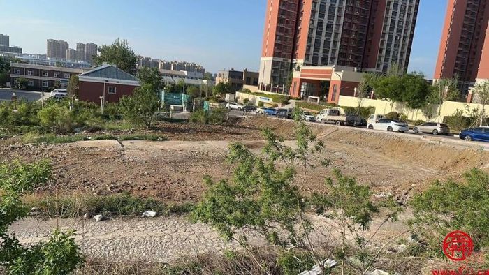 一枝一叶总关情 双山街道瓦山社区为民办实事案例纪实