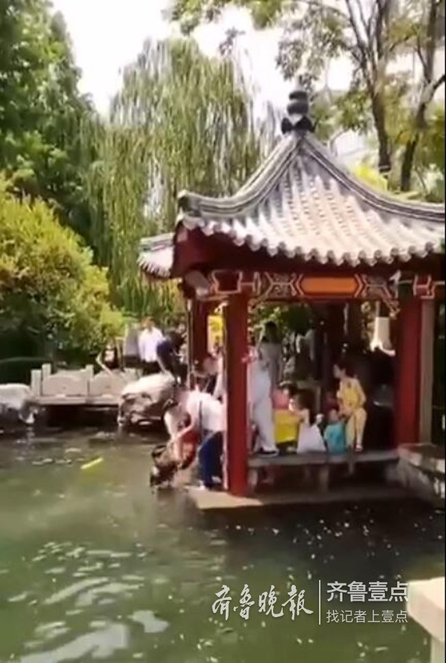 五龙潭救人小伙找到了，他说 “救人还需要想吗？”