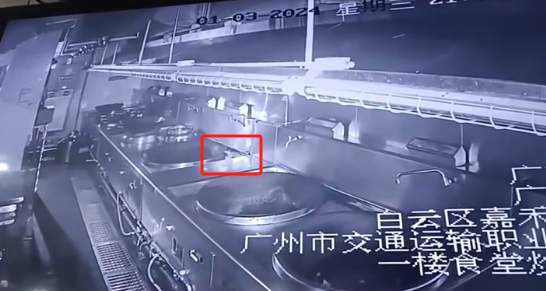 广州一职校食堂灶台上老鼠乱窜？校方回应：正在处理