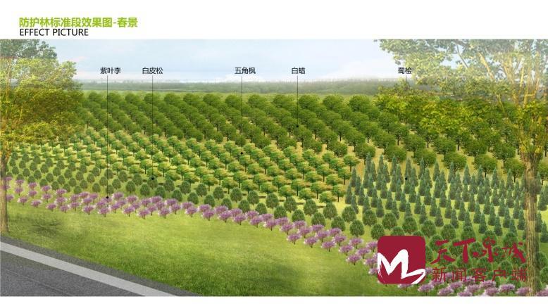 济南黄河淤背区防护林建设开工 6处郊野公园建设4月下旬开工