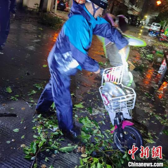 【台风实施路径发布系统最新消息】台风黑格比在浙江乐清登陆浙江沿海:风雨袭窗 树木连根拔起