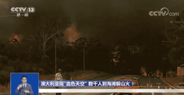 揪心！澳大利亚山火持续蔓延，袋鼠成群逃离火场