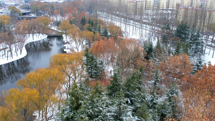 降雪如约而至 雪落大地景色如画