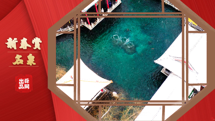 新春赏名泉 趵突泉