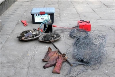 66岁婆婆电死野猪 被判处拘役