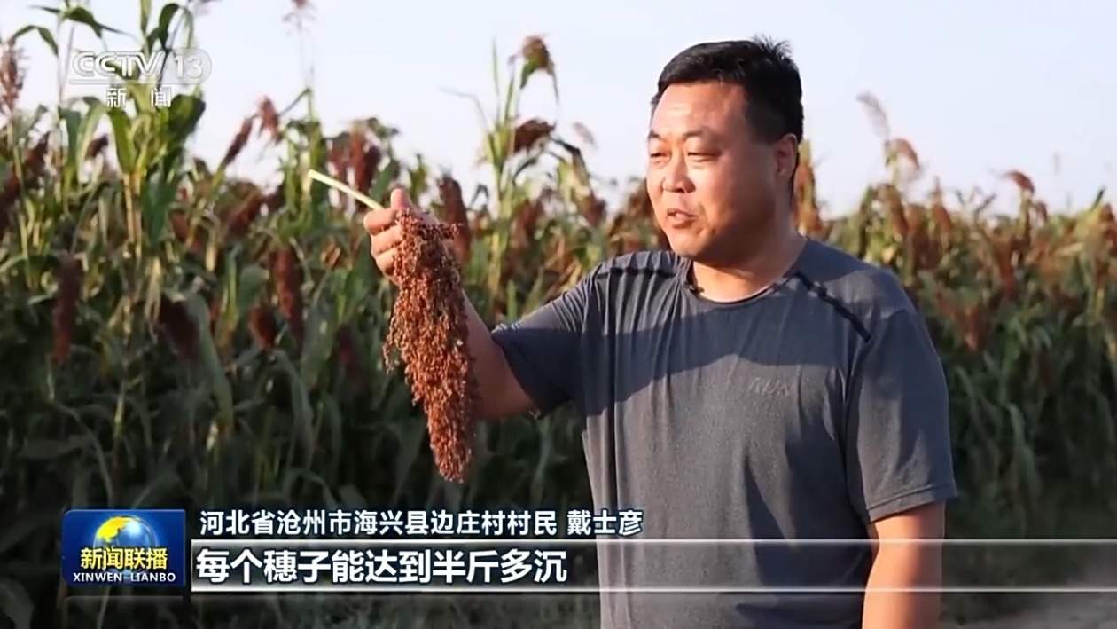ոáᡱ ½ȷ