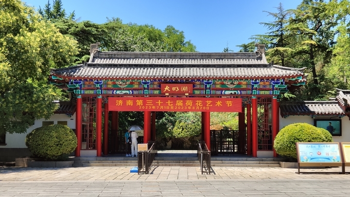 荷花盛开 玫好自来！济南第37届荷花艺术节开幕