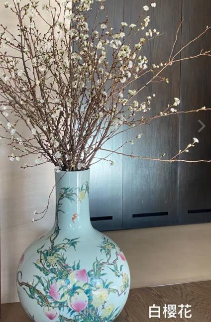 刘嘉玲拿500万古董插花,|刘嘉玲拿500万古董插花 疑似为在家中所拍摄