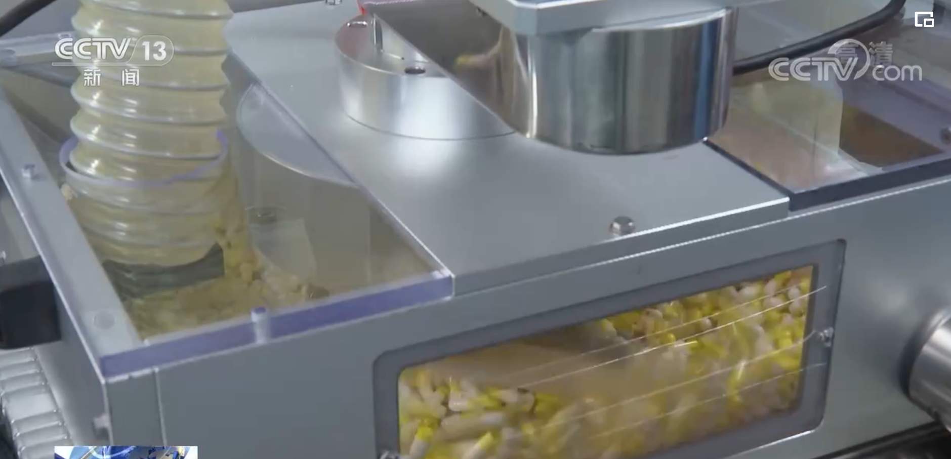 各地药企开足马力 加快生产保供应