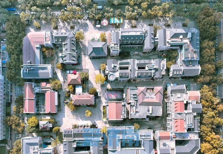 济南经三路，“上新”绝美秋景！