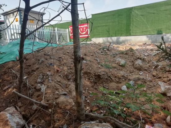 【啄木鸟在行动】章丘区工业四路章丘现代物流中心附近有渣土未覆盖