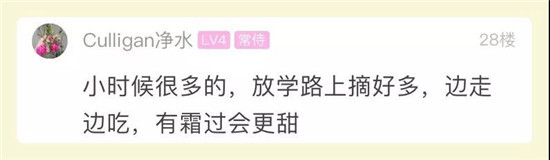 又干又丑却很好吃？杭州姑娘被颠覆认知！你认识吗？