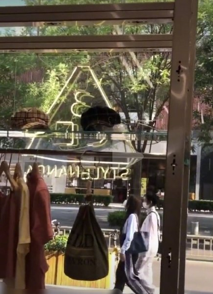 【大鱼海棠也发糖了】偶遇虞书欣赵小棠逛街 三里屯蹲守THE9总有惊喜吗