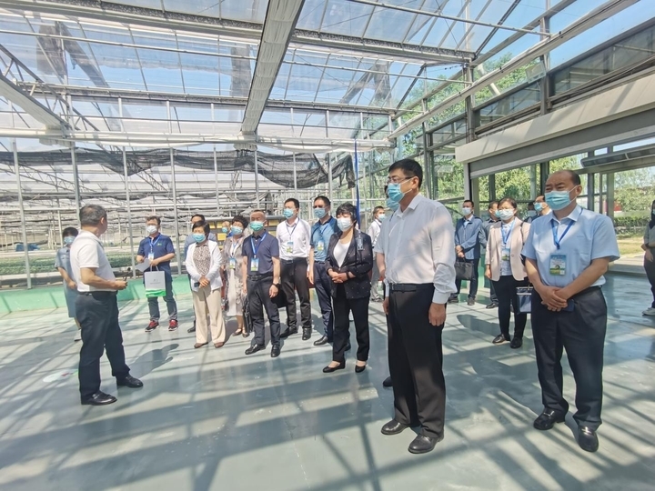 出台优惠政策、壮大人才队伍…… “商量”为打造“北方种业之都”建言献策