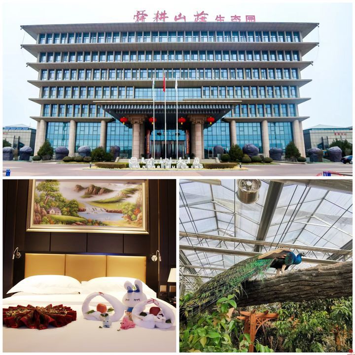 观古城 游相公 寻宝藏 享亲情 明水古城五公里旅游攻略