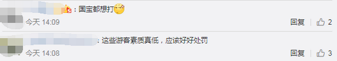 北京动物园回应游客砸熊猫  网友：都被吓到了