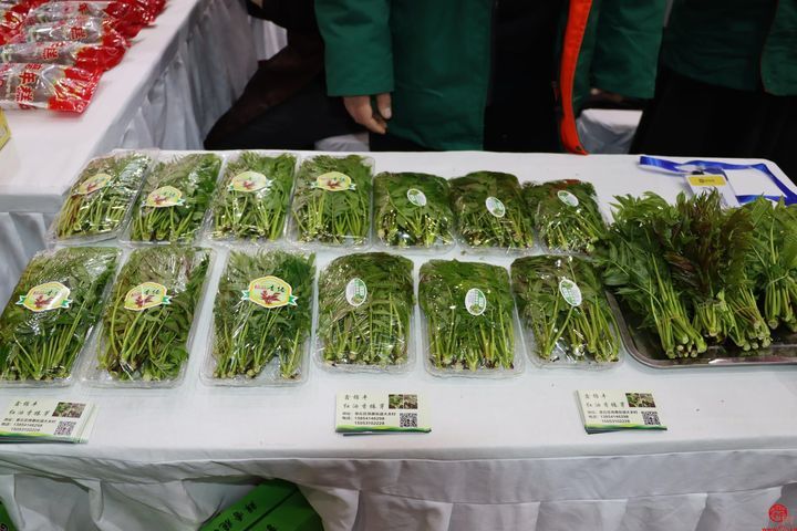 购古城好品，赏浓浓年味——古韵绣惠亮相2024章丘区特色产品展销推介会