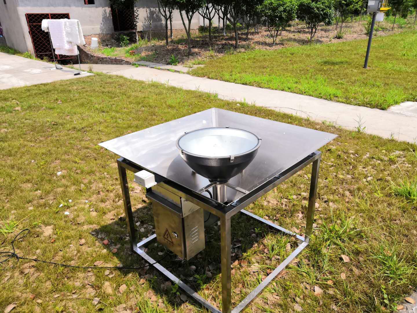  “粮食杀手”来袭！国内多地遭草地贪夜蛾入侵，山东省内尚未发现