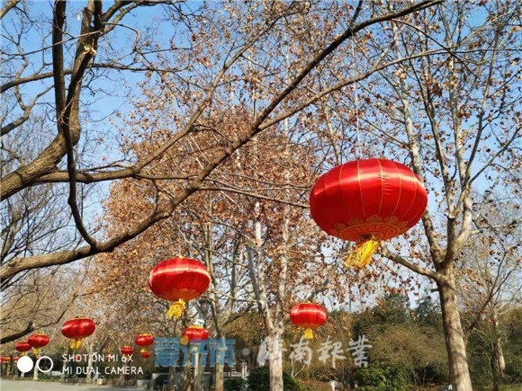 大红灯笼挂起来 扮靓街头年味浓