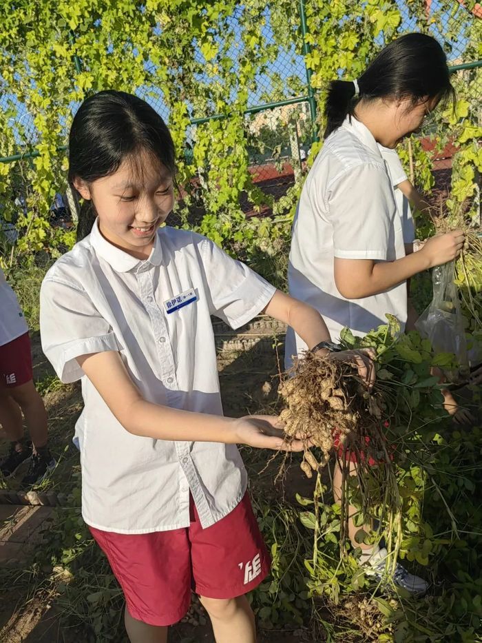 济南外国语学校组织开展劳动教育实践