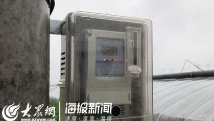 台风过境蔬菜之乡，记者寿光实地探访