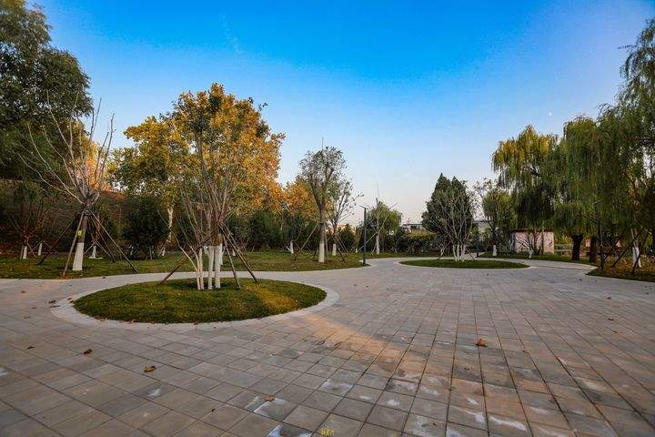 黄河岸边因地制宜强化游憩功能，新增“下沉式”生态公园