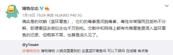 剧毒章鱼差点下锅？这些易混淆食物千万要注意！