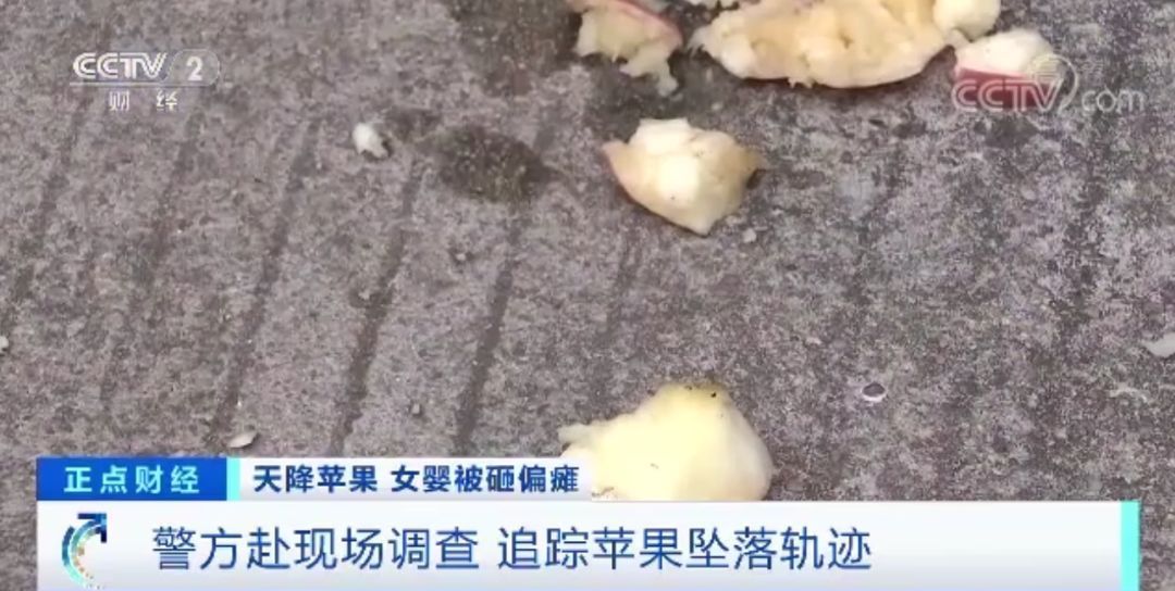 11岁女童24楼扔下苹果，砸中女婴致十级伤残！谁来赔？