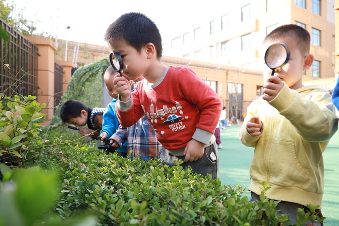 植树节来了，历东花园幼儿园萌娃给春天添一抹绿色