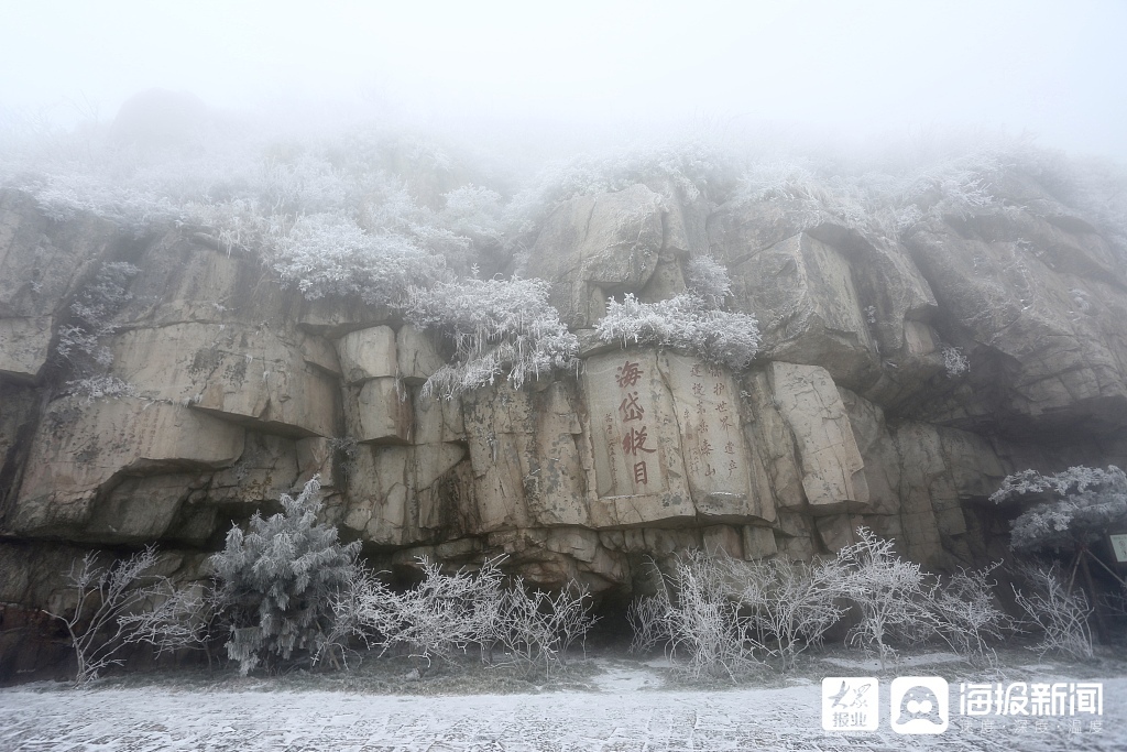 山东泰安：雪后泰山现雾凇宛如仙境美不胜收