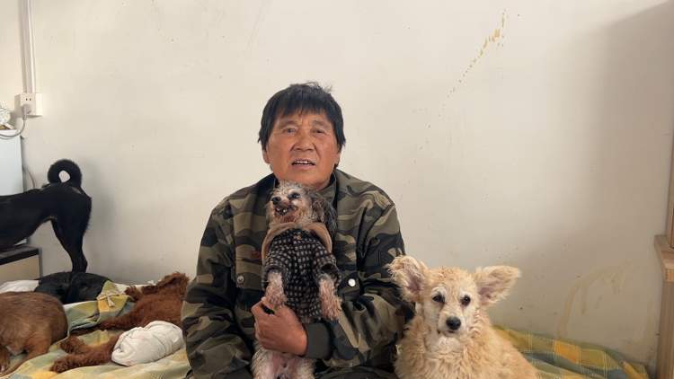 一人，十年，两千只流浪狗，她与它们在同一屋檐下共处