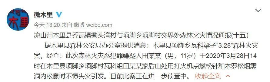 凉山“3·28”森林火灾起因，通报来了！