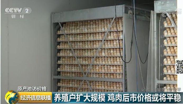 记者调查：鸡肉价格怎么走 还能愉快地吃鸡否?